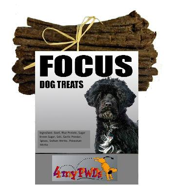 FOCUS Best Beef Sticks